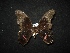  ( - MAL-02055)  @11 [ ] Unspecified (default): All Rights Reserved  Unspecified Unspecified
