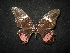  ( - MAL-02069)  @12 [ ] Unspecified (default): All Rights Reserved  Unspecified Unspecified