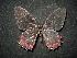  ( - MAL-02071)  @12 [ ] Unspecified (default): All Rights Reserved  Unspecified Unspecified