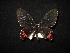  ( - MAL-02082)  @12 [ ] Unspecified (default): All Rights Reserved  Unspecified Unspecified