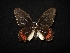  ( - MAL-02083)  @13 [ ] Unspecified (default): All Rights Reserved  Unspecified Unspecified