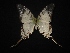  ( - MAL-02103)  @13 [ ] Unspecified (default): All Rights Reserved  Unspecified Unspecified