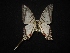  ( - MAL-02107)  @12 [ ] Unspecified (default): All Rights Reserved  Unspecified Unspecified