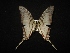  ( - MAL-02108)  @11 [ ] Unspecified (default): All Rights Reserved  Unspecified Unspecified