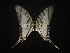  ( - MAL-02109)  @12 [ ] Unspecified (default): All Rights Reserved  Unspecified Unspecified
