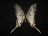  ( - MAL-02111)  @12 [ ] Unspecified (default): All Rights Reserved  Unspecified Unspecified