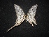  ( - MAL-02116)  @12 [ ] Unspecified (default): All Rights Reserved  Unspecified Unspecified