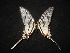  ( - MAL-02117)  @12 [ ] Unspecified (default): All Rights Reserved  Unspecified Unspecified