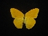  ( - MAL-02266)  @12 [ ] Unspecified (default): All Rights Reserved  Unspecified Unspecified