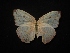  ( - MAL-02267)  @12 [ ] Unspecified (default): All Rights Reserved  Unspecified Unspecified
