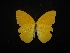  ( - MAL-02268)  @12 [ ] Unspecified (default): All Rights Reserved  Unspecified Unspecified