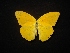  ( - MAL-02269)  @12 [ ] Unspecified (default): All Rights Reserved  Unspecified Unspecified