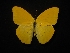  ( - MAL-02271)  @12 [ ] Unspecified (default): All Rights Reserved  Unspecified Unspecified