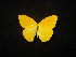  ( - MAL-02272)  @12 [ ] Unspecified (default): All Rights Reserved  Unspecified Unspecified