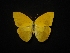  ( - MAL-02274)  @12 [ ] Unspecified (default): All Rights Reserved  Unspecified Unspecified