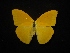  ( - MAL-02275)  @12 [ ] Unspecified (default): All Rights Reserved  Unspecified Unspecified