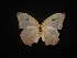  ( - MAL-02284)  @12 [ ] Unspecified (default): All Rights Reserved  Unspecified Unspecified