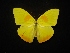  ( - MAL-02286)  @11 [ ] Unspecified (default): All Rights Reserved  Unspecified Unspecified