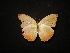  ( - MAL-02288)  @11 [ ] Unspecified (default): All Rights Reserved  Unspecified Unspecified
