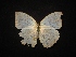  ( - MAL-02289)  @11 [ ] Unspecified (default): All Rights Reserved  Unspecified Unspecified