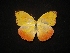  ( - MAL-02290)  @11 [ ] Unspecified (default): All Rights Reserved  Unspecified Unspecified