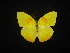  ( - MAL-02292)  @11 [ ] Unspecified (default): All Rights Reserved  Unspecified Unspecified