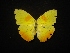  ( - MAL-02293)  @11 [ ] Unspecified (default): All Rights Reserved  Unspecified Unspecified