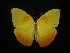  ( - MAL-02295)  @11 [ ] Unspecified (default): All Rights Reserved  Unspecified Unspecified