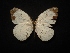  ( - MAL-02307)  @14 [ ] Unspecified (default): All Rights Reserved  Unspecified Unspecified