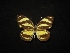  ( - MAL-02312)  @14 [ ] Unspecified (default): All Rights Reserved  Unspecified Unspecified