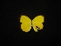  ( - MAL-02316)  @11 [ ] Unspecified (default): All Rights Reserved  Unspecified Unspecified