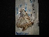  ( - MAL-02469)  @12 [ ] Unspecified (default): All Rights Reserved  Unspecified Unspecified