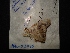  ( - MAL-02470)  @12 [ ] Unspecified (default): All Rights Reserved  Unspecified Unspecified