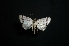  ( - MAL-01176)  @13 [ ] Unspecified (default): All Rights Reserved  Unspecified Unspecified