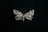  ( - MAL-01177)  @12 [ ] Unspecified (default): All Rights Reserved  Unspecified Unspecified