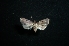  ( - MAL-01247)  @12 [ ] Unspecified (default): All Rights Reserved  Unspecified Unspecified