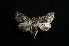  ( - MAL-01455)  @13 [ ] Unspecified (default): All Rights Reserved  Unspecified Unspecified