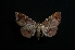  ( - MAL-01475)  @14 [ ] Unspecified (default): All Rights Reserved  Unspecified Unspecified