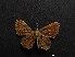  (Detritivora zama - MAL-05216)  @13 [ ] Unspecified (default): All Rights Reserved  Arely Martinez-Arce Unspecified