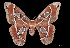  (Rothschildia lebeau yucatana - MAL-05195)  @14 [ ] Unspecified (default): All Rights Reserved  Unspecified Unspecified