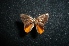  ( - MAL-05152)  @12 [ ] Unspecified (default): All Rights Reserved  Unspecified Unspecified