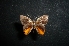  ( - MAL-05155)  @12 [ ] Unspecified (default): All Rights Reserved  Unspecified Unspecified