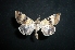  ( - MAL-05187)  @12 [ ] Unspecified (default): All Rights Reserved  Unspecified Unspecified
