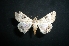  ( - MAL-05192)  @11 [ ] Unspecified (default): All Rights Reserved  Unspecified Unspecified