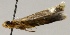  ( - MM20602)  @11 [ ] No Rights Reserved (2011) Marko Mutanen University of Oulu
