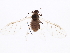  ( - NIBGE APH-00169)  @14 [ ] CreativeCommons - Attribution (2012) CBG Photography Group Centre for Biodiversity Genomics