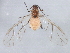  ( - NIBGE APH-00136)  @14 [ ] CreativeCommons - Attribution (2012) CBG Photography Group Centre for Biodiversity Genomics
