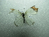  ( - NIBGE BUT-00353)  @11 [ ] CreativeCommons - Attribution Non-Commercial Share-Alike (2012) Sajjad Mirza National Institute for Biotechnology and Genetic Engineering Faisalabad Pakistan