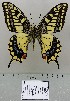  ( - AC-VT056)  @11 [ ] by-nc (2020) Adam Cotton Unspecified