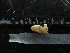  ( - MACNINVE0134)  @11 [ ] CreativeCommons - Attribution Non-Commercial No Derivatives (2015) Pablo E. Penchaszadeh Museo Argentino de Ciencias Naturales, CABA Argentina